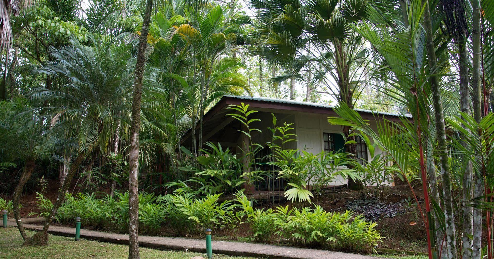 Hotel Villas Gaia Uvita Kültér fotó